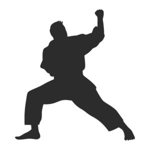 Karate1