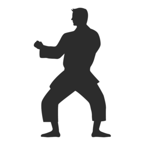 Karate2